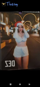 16313906