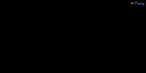 18165277