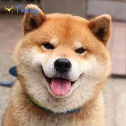 bkkexpert feat. onlyfans