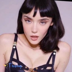 ❤️‍🔥Cat Knight ❤️‍🔥