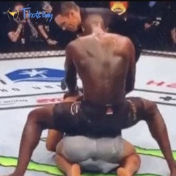 The Last Stylebender