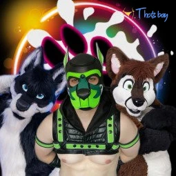 Knot 'n' Load Studios