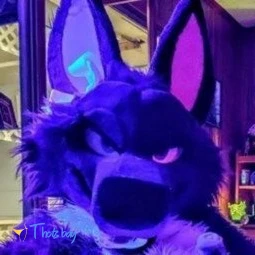 ⚡Sparks 🅱️uppy⚡