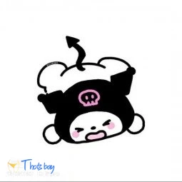 pocketsapio ♡☆*･•