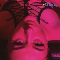 Dawn Rain ✨(FREE)✨