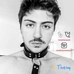 Trans Trent FTM Free