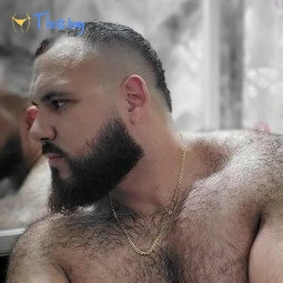 Your Top's Favorite Top