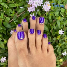 Sweetfeetsy VIP❀ Top 3.5%