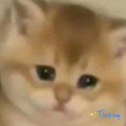 𝓑𝓲𝓽𝓪 bye bye