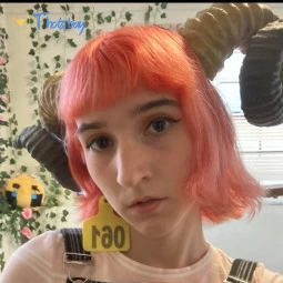 Discord Kitten 🏳️‍⚧️