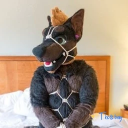 Daddy Dober ฅ^•ﻌ•^ฅ