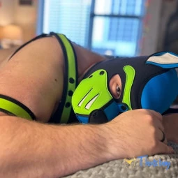 Pup Pulsar (Formerly Malachite)