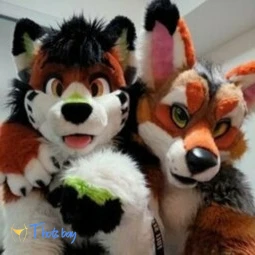 Small things, big packages