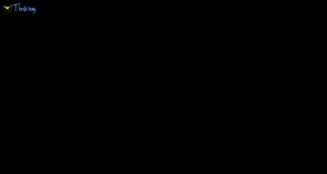 cerafoxevip