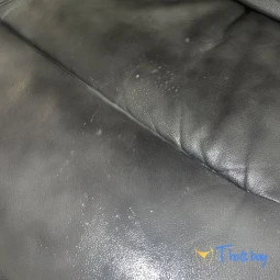  Gorilla Grip Productions 